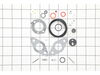 Kit-carb Overhaul – Part Number: 797634
