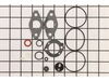 Gasket Set-carburetor – Part Number: 797635