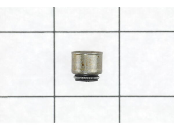 9138066-1-M-Briggs and Stratton-794086-Seal-valve