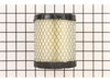 Filter-air Cleaner – Part Number: 798897