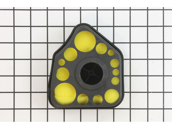 9138711-1-M-Briggs and Stratton-794070-Cleaner-Air
