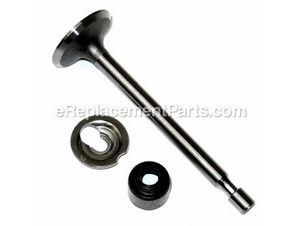 9138756-1-M-Briggs and Stratton-795443-Valve-intake