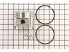 Piston Assembly – Part Number: 792365