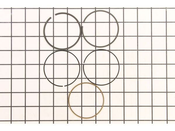 9139289-1-M-Briggs and Stratton-796645-Ring Set
