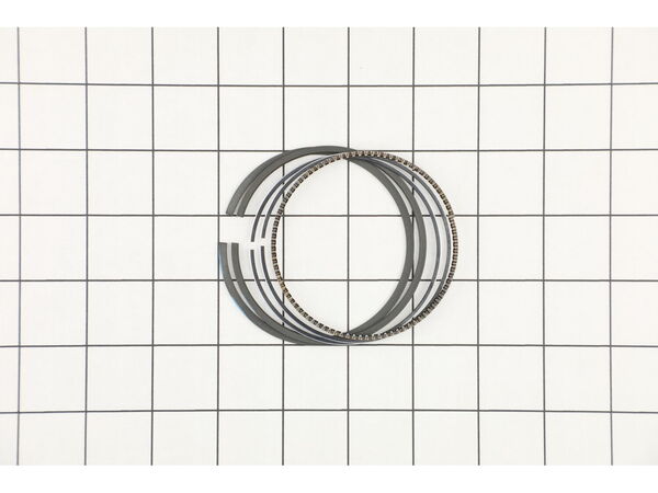 9139889-1-M-Briggs and Stratton-799272-Ring Set