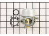 Carburetor – Part Number: 799870