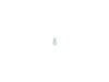 Plug-oil Drain – Part Number: 797215