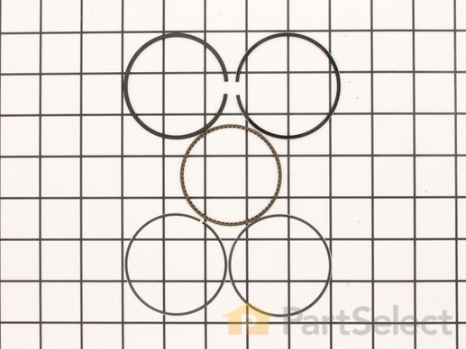 9140481-1-M-Briggs and Stratton-797273-Ring Set-020