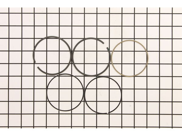 9140676-1-M-Briggs and Stratton-791792-Ring Set-020