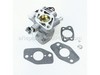 Carburetor – Part Number: 808692
