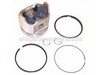 Piston-assembly-020 – Part Number: 792367