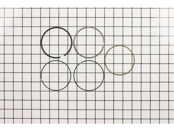 9142392-1-M-Briggs and Stratton-796911-Ring Set