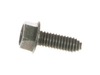 Lawn Mower Screw – Part Number: 817120616