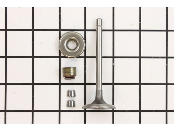 9147392-1-M-Briggs and Stratton-843751-Valve-Intake