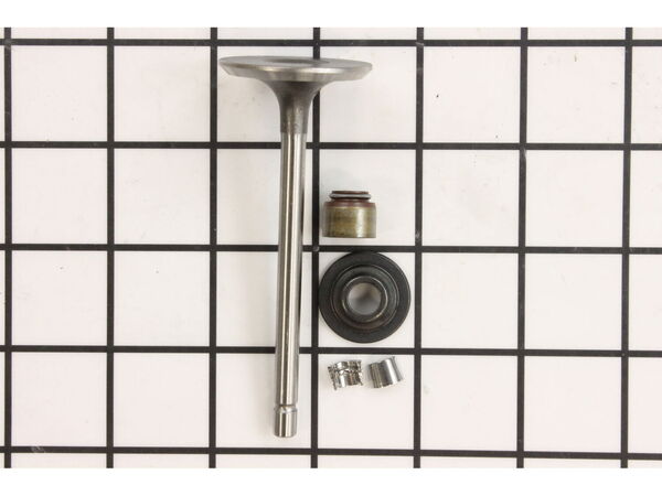 9147470-1-M-Briggs and Stratton-843730-Valve-intake