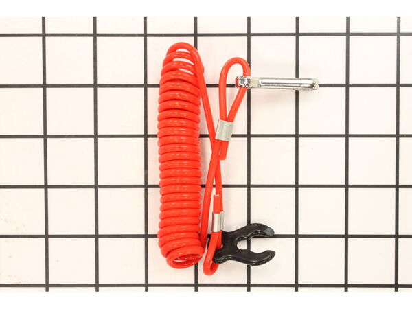 9149118-1-M-Briggs and Stratton-861209-Lanyard