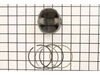 Piston Assembly – Part Number: 795691