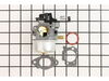 Carburetor – Part Number: 799226