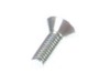 9152879-2-S-Echo-90021204012-Screw 4x12