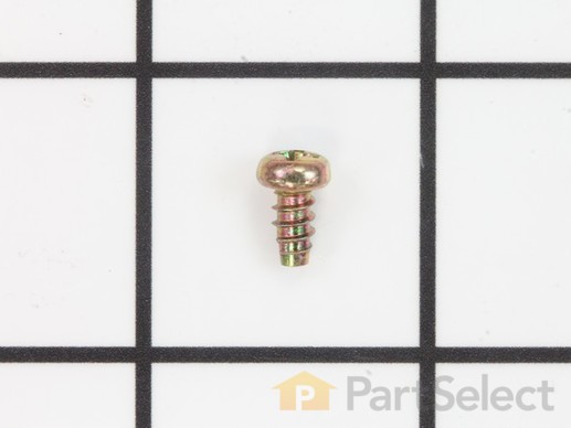 9153153-1-M-Echo-90024604008-Screw 4x8