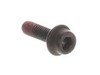 9153395-3-S-Echo-9111005016-Trimmer Screw