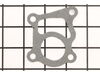 Gasket-Intake – Part Number: 807434