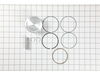 Piston Assembly-020 – Part Number: 844877