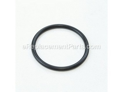 9161021-1-M-Echo-9250004105-O-Ring