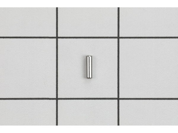 9161620-1-M-Echo-9305030098-Pin, Spring 3x9.8