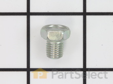 Plug-Carburetor – Part Number: 94628