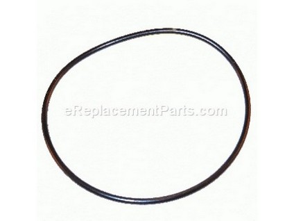 9171982-1-M-Echo-9250109500-O-ring