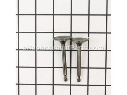 9172551-1-M-MTD-951-10647A-Valve Kit
