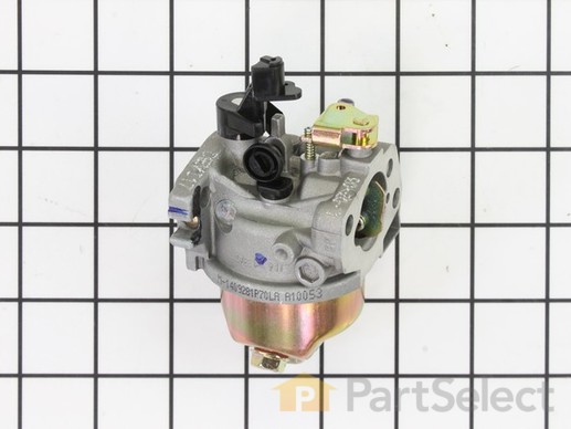 9172997-1-M-MTD-951-10929-Carburetor Assembl