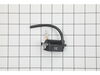 Ignition Coil – Part Number: A411001020
