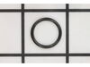"o" Ring, Retainer Nut 1 – Part Number: A3829GS