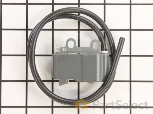 9179602-1-M-Echo-A411000420-Coil-Ignition