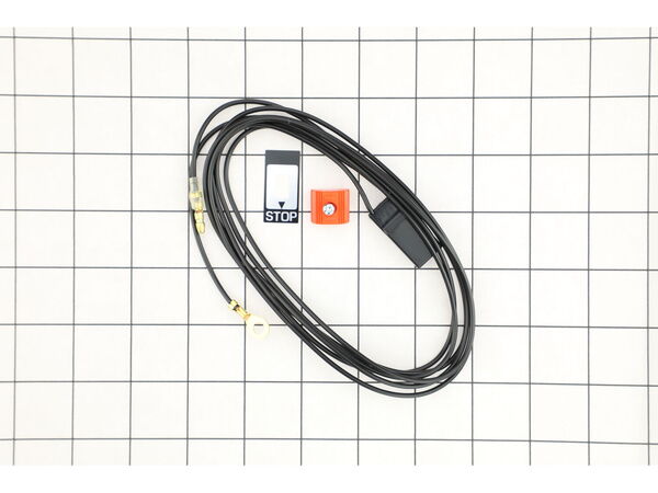9181884-1-M-Echo-A440000240-Switch-Ignition