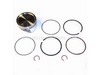 Piston Asm-std – Part Number: BS-843792