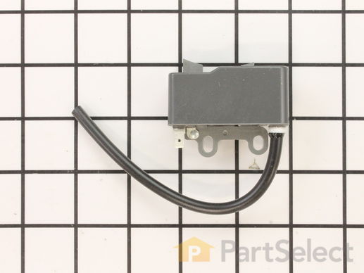9195658-1-M-Echo-A411000220-Coil-Ignition