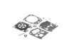 9229809-2-S-Echo-P003004600-Carburetor Kit