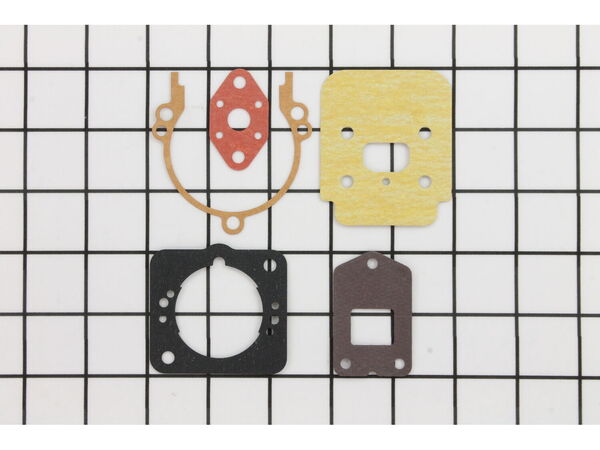 9229841-1-M-Echo-P021004810-Gasket Kit
