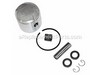 Piston Kit – Part Number: P021010582