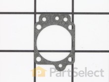 Gasket, Metering Diaphragm – Part Number: P003004090