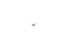 Spring – Part Number: V450000710