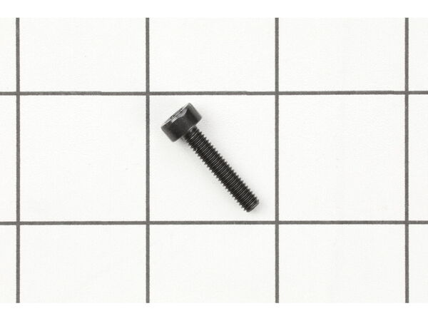 9246399-1-M-Echo-V804000070-Screw 4x20