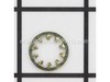 Wshr-lock Int .31 Ywzc – Part Number: 06310500