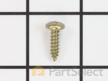 Screw, Tapping 20-16 x .62 Sl Ph Pl Ab – Part Number: 07415000