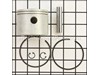 Piston and Rings Assy – Part Number: 100-2916