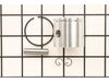 Piston – Part Number: 10000013931
