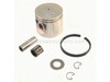 Piston – Part Number: 10000017530